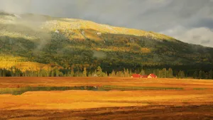 新疆喀纳斯鸭泽湖风景图片第张