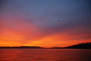 青海湖日出风景图片第张