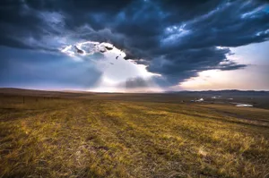 内蒙古呼伦贝尔草原秋天风景图片第张