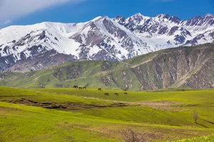 新疆大西沟风景图片第张