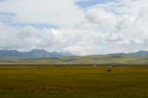四川若尔盖草原风景图片第张