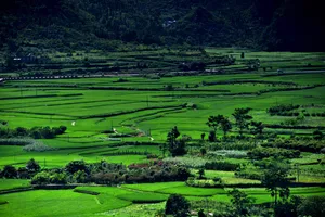 贵州兴义万峰林风景图片第张