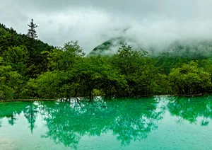 四川黄龙迎宾池风景图片第张