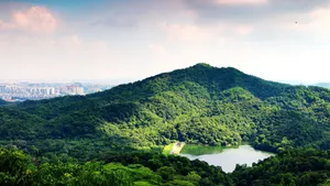 夏日广州白云山风景图片第张