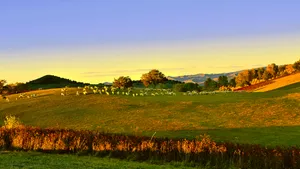 坝上田园风光图片第张