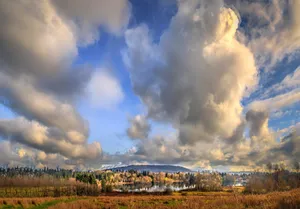 本拿比鹿湖风景图片第张