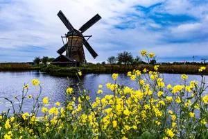 荷兰桑斯安斯风车村风景图片第张