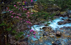 四川康定木格措风景图片第张