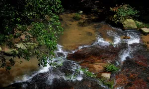江西庐山白鹿洞书院风景图片第张