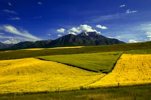 青海祁连县卓尔山风景图片第张