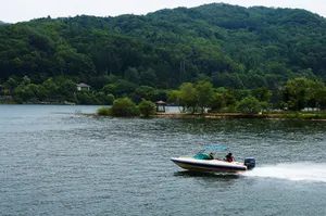 韩国南怡岛风景图片第张