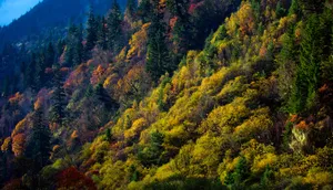 四川达古冰川风景图片第张