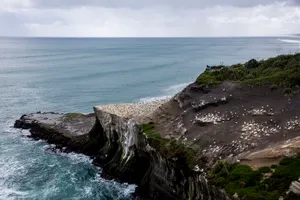 新西兰鸟岛风景图片第张