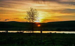 内蒙古草原风景图片第张