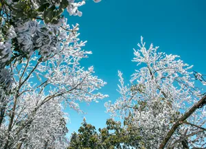 湖南张家界天门山雪景图片第张