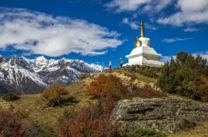 西藏来古冰川风景图片第张