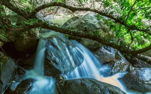 广东增城白水寨风景图片第张