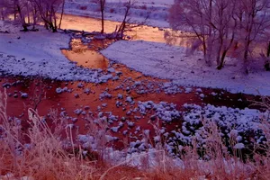 内蒙古阿尔山国家森林公园冬景图片第张