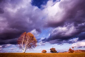 内蒙古坝上秋景图片第张