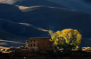 四川康定新都桥风景图片第张