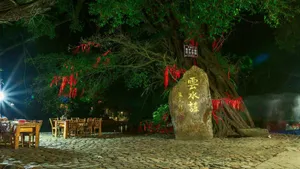 云水谣古镇夜景图片第张