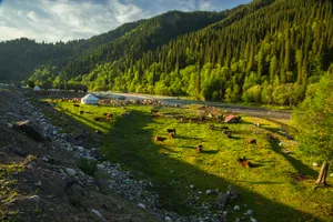 新疆巩乃斯草原风景图片第张