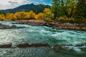 新疆巩乃斯秋色风景图片第张