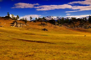 新疆布尔津县风景图片第张