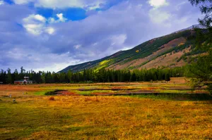 新疆喀纳斯景区风景图片第张