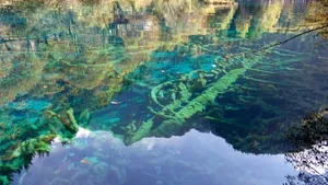 四川九寨沟五花海风景图片第张