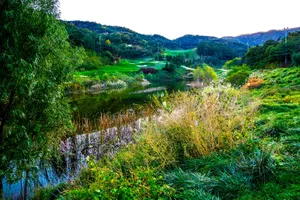 辽宁大连西郊度假村风景图片第张