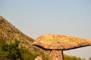 宁夏贺兰山岩画图片第张