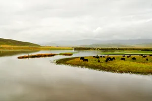 甘肃甘南桑科草原风景图片第张