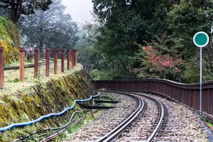 台湾阿里山风景图片第张