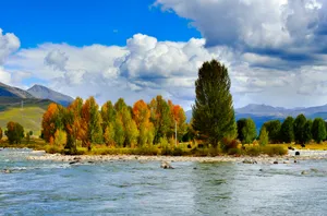 四川稻城秋天景色图片第张