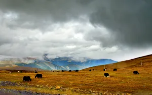 四川世界高城理塘风景图片第张