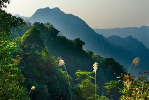 广西金秀莲花山风景图片第张