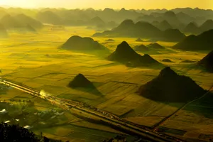 云南罗平油菜花海图片第张