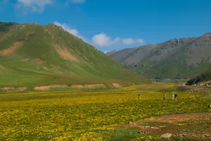 青海祁连山草原风景图片第张