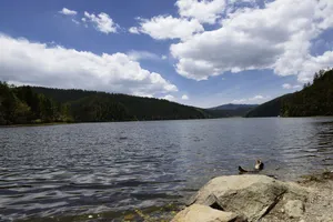 云南普达措公园风景图片第张