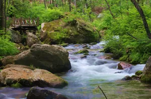黑龙江柴河风景图片第张