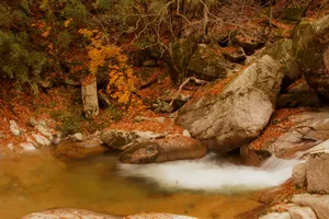 四川光雾山风景图片第张