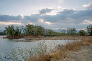北京稻香湖春天风景图片第张