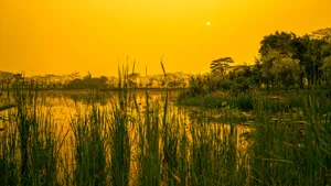 广东肇庆七星岩风景图片第张