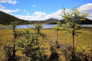 云南属都湖风景图片第张