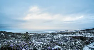 四川折多山风景图片第张