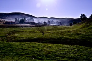 新疆牧场晨曦风景图片第张