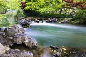 杭州太子湾公园的小溪流图片第张