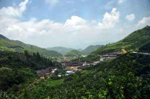 福建田螺坑土楼群风景图片第张