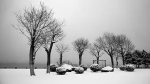 山东威海的雪景图片第张